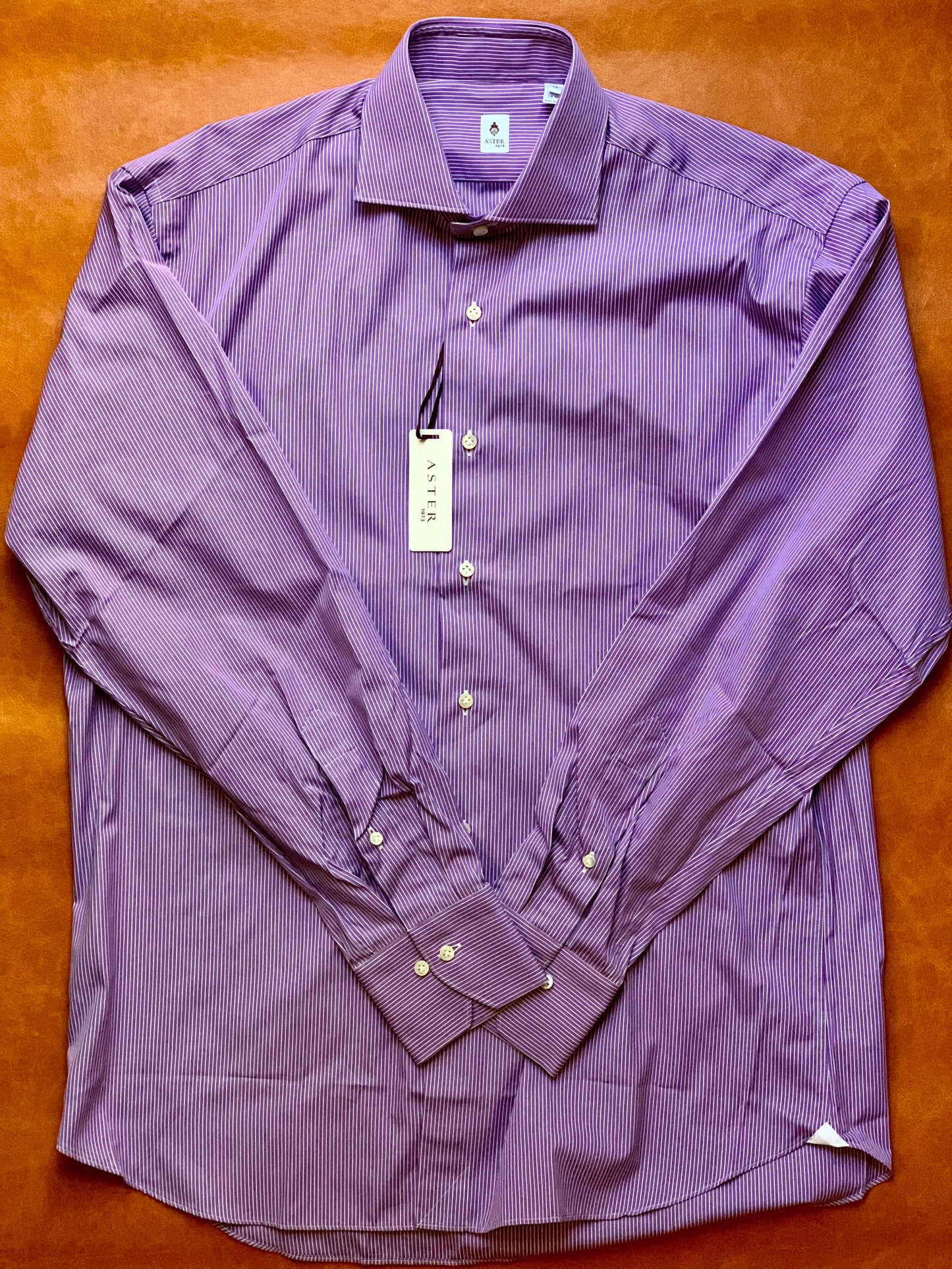 Aster 1973 Italian Dress Shirt